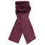 Equetech Ready Tied Stock - Maroon/White Pin Spot