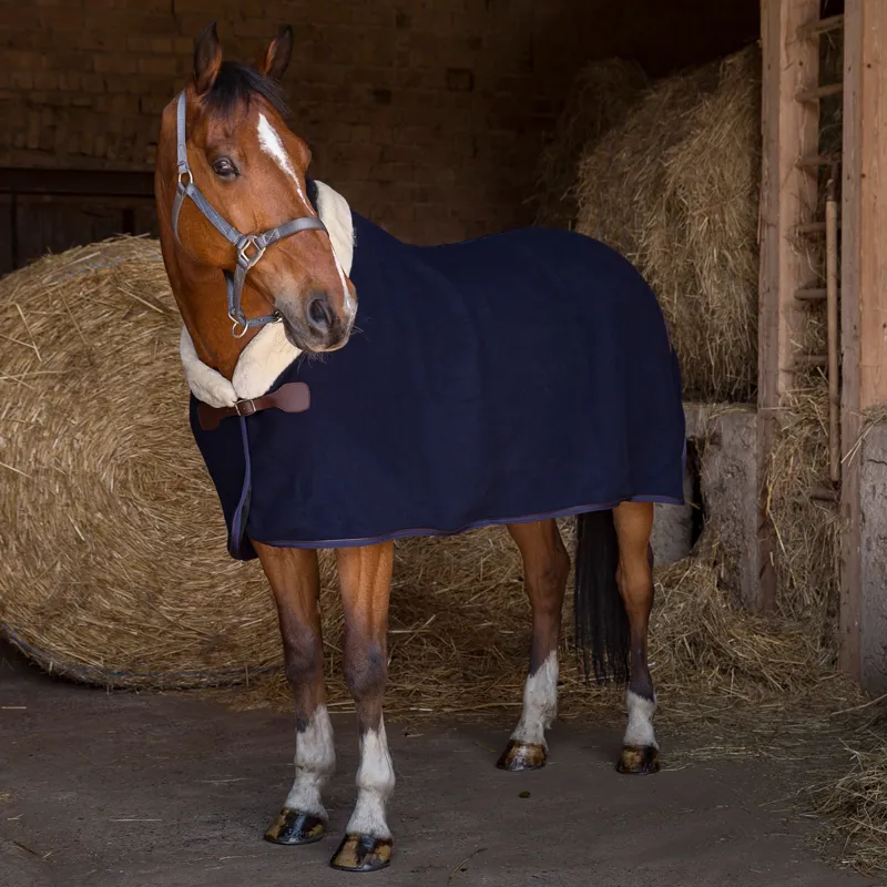 Equi-Theme Teddy Wool Rug - Navy