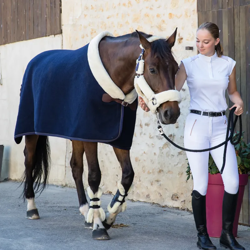 Equi-Theme Teddy Wool Rug - Navy-1