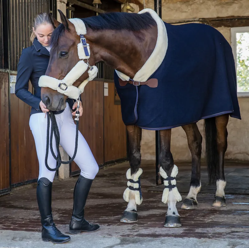 Equi-Theme Teddy Wool Rug - Navy-2
