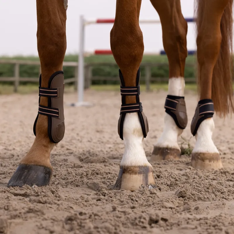 Equi Theme Oslo Tendon Fetlock Boots Set Brown
