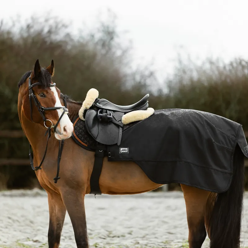 Eskadron 2 in 1 Lunge and Exercise Sheet - Black-1