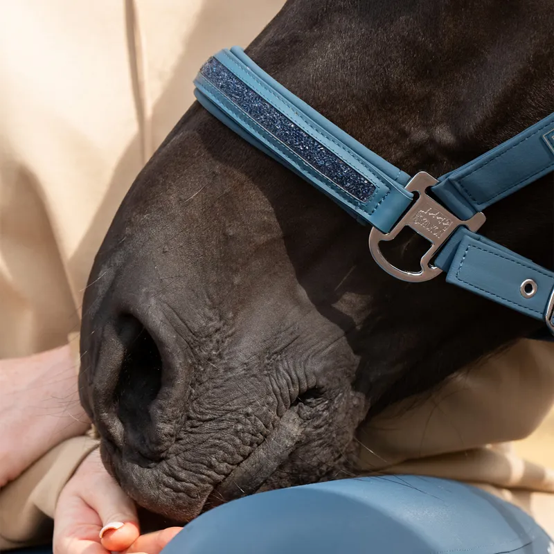 Eskadron Classic Sports Double Pin Softshell Jewel Headcollar - Ocean-3