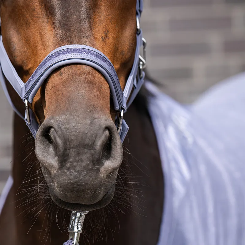 Eskadron Classic Sports Double Pin Softshell Jewel Headcollar - Orchid-2