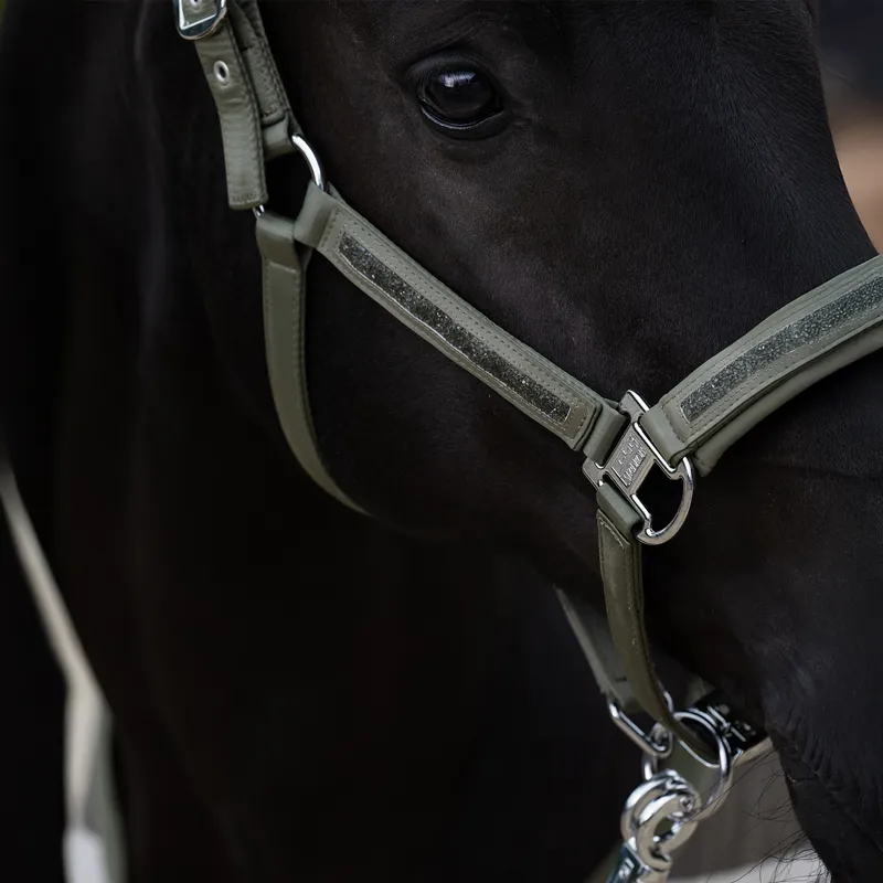 Eskadron Classic Sports Mattgloss Jewel Headcollar - Dusty Olive-1