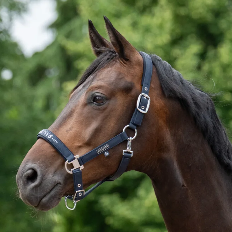 Eskadron Classic Sports Sparkle Double Pin Headcollar - Navy-1