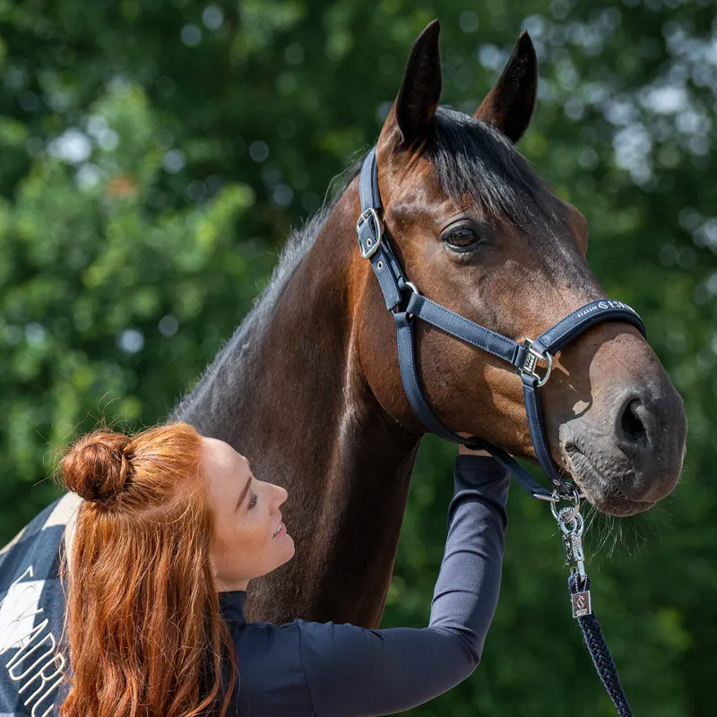 Eskadron Classic Sports Sparkle Double Pin Headcollar - Navy-3