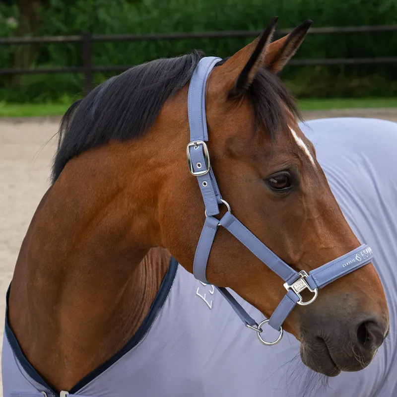 Eskadron Classic Sports Sparkle Double Pin Headcollar - Orchid-2