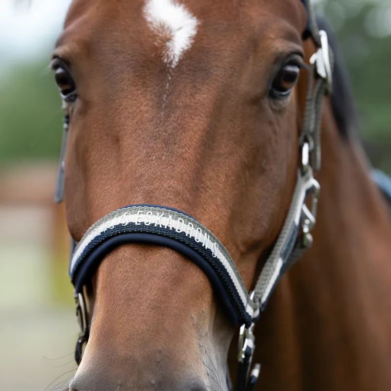Eskadron Classic Sports Double Pin Headcollar - Navy/Grey/Dusty Olive-1