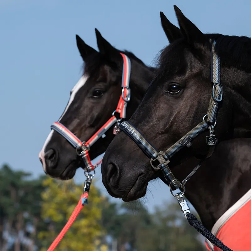 Eskadron Classic Sports Double Pin Headcollar - Steel Blue/Grey/Coral-2