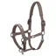 Eskadron Dynamic Sparkle Double Pin Headcollar - Powder Taupe