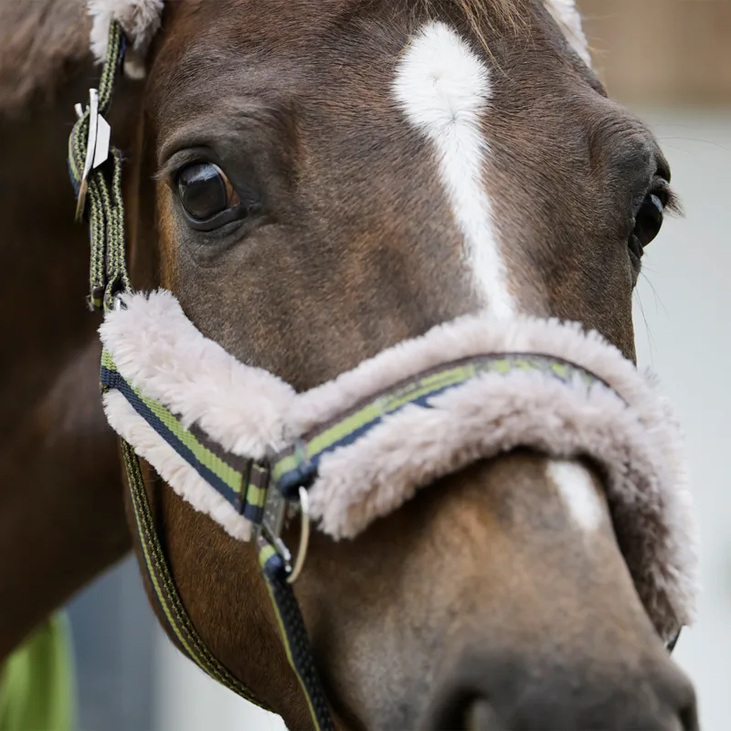Eskadron Platinum Girth Faux Fur Headcollar - Moss Green-1