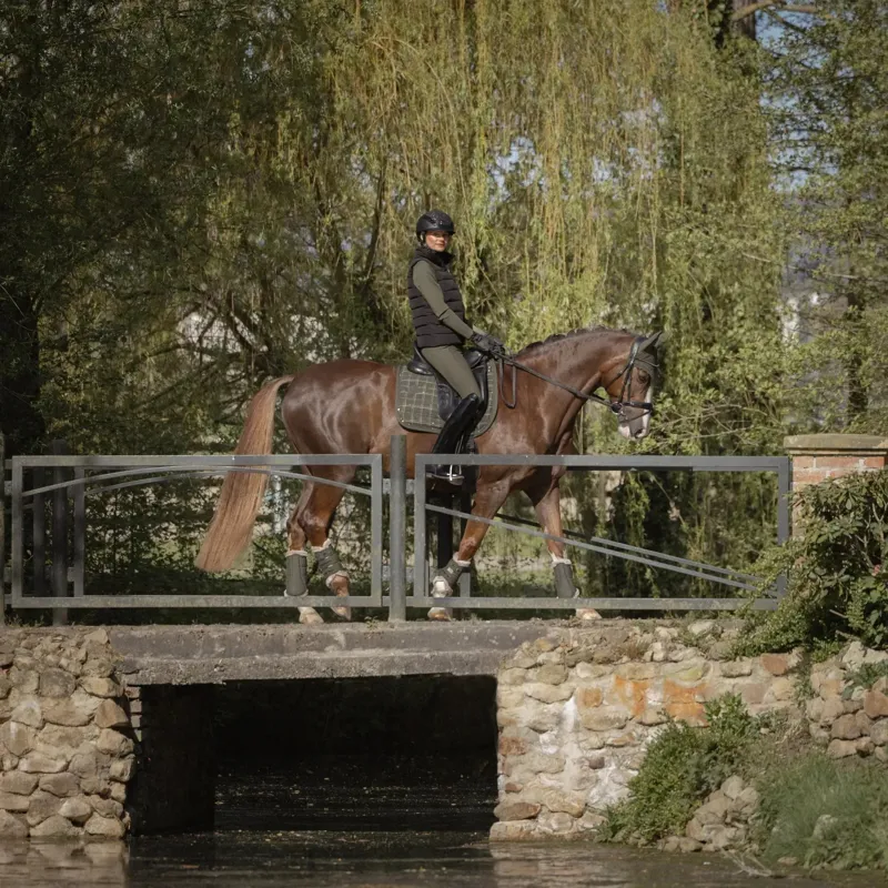 Eskadron Heritage Boucle Crystal Dressage Saddlecloth - Deep Moss-5