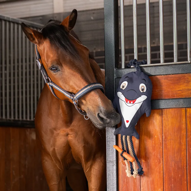 Eskadron Classic Sports Double Pin Headcollar - Ocean/Sierra/Navy-1