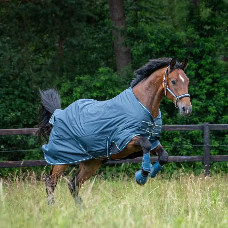 Eskadron Classic Sports Double Pin Headcollar - Ocean/Sierra/Navy-3