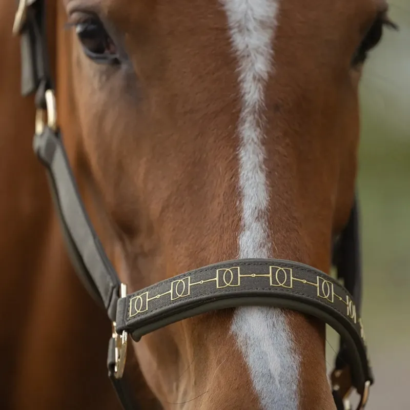 Eskadron Heritage Sparkle Double Pin Headcollar - Deep Moss-1