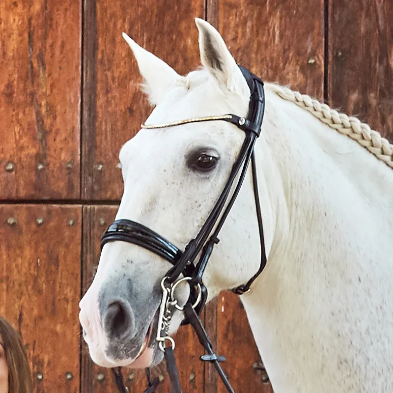 Finesse Cassidy Rolled Double Bridle - Patent Black/Silver-1