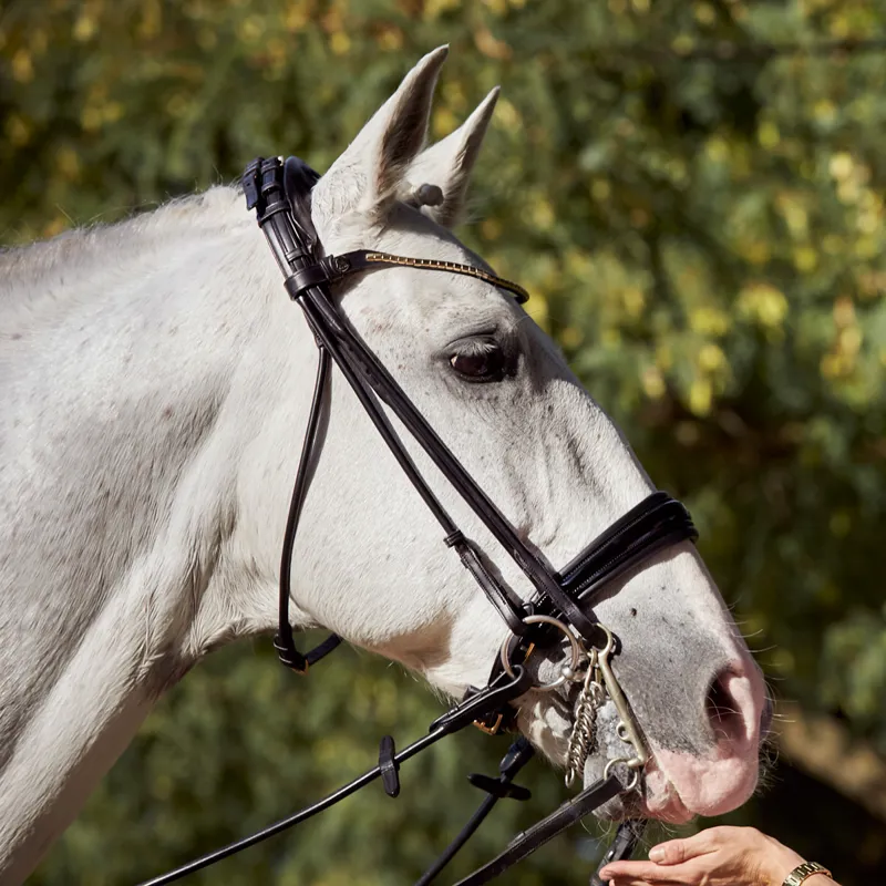 Finesse Cassidy Rolled Double Bridle - Patent Black/Silver-4