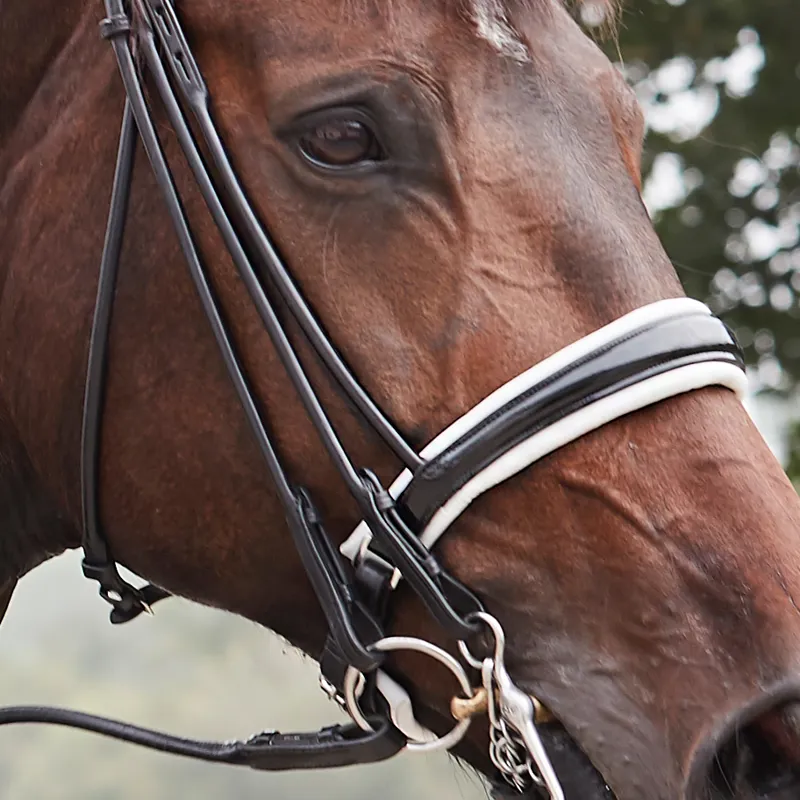 Finesse Cassidy Rolled Double Bridle - Black/White/Silver-1