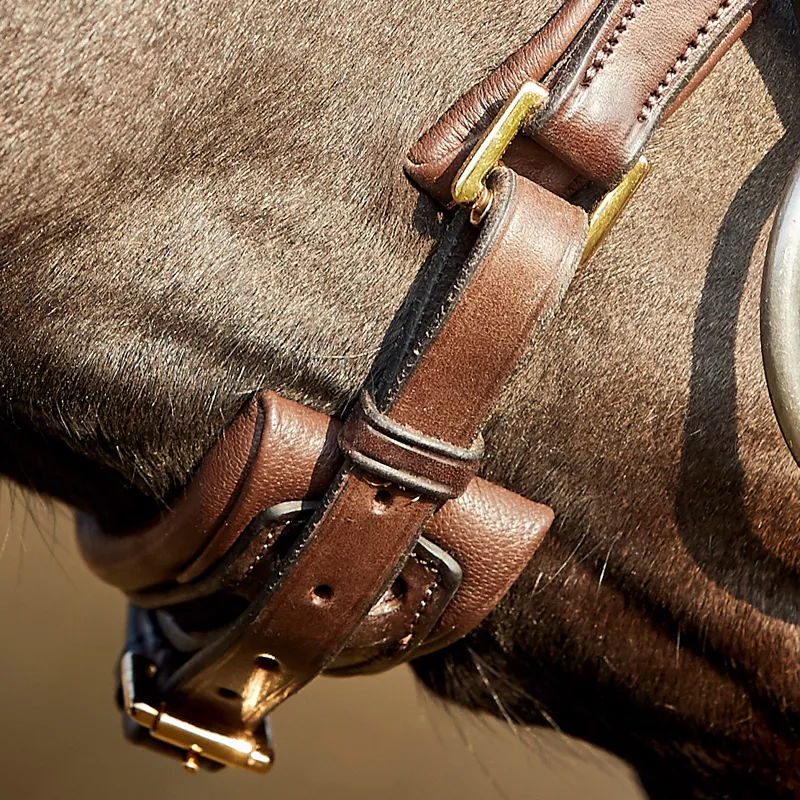 Finesse Cayenne Flash Bridle - Brown/Gold-2