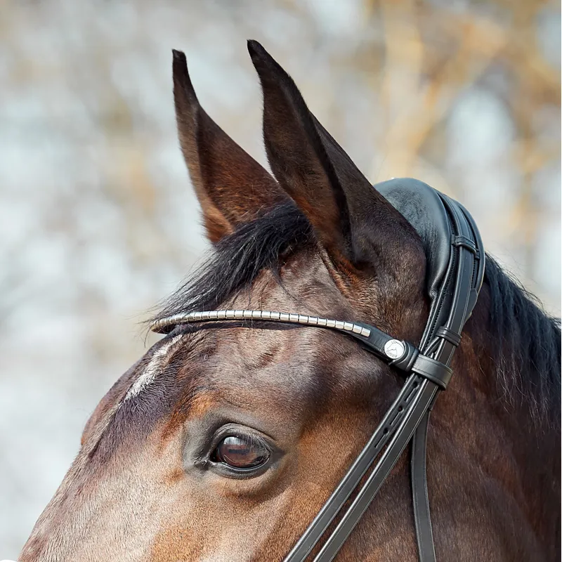 Finesse Cayenne Flash Bridle - Black/Silver-1