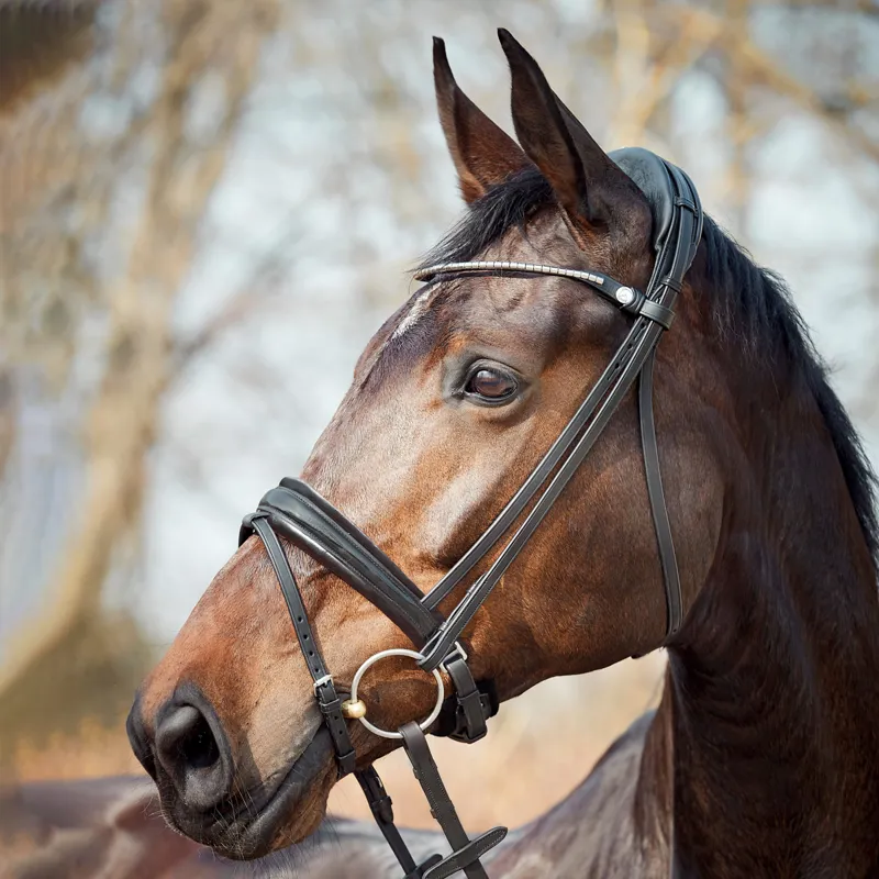 Finesse Cayenne Flash Bridle - Black/Silver