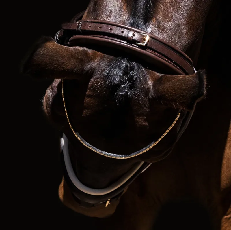 Finesse Cayenne Flash Bridle - Brown/Gold-1