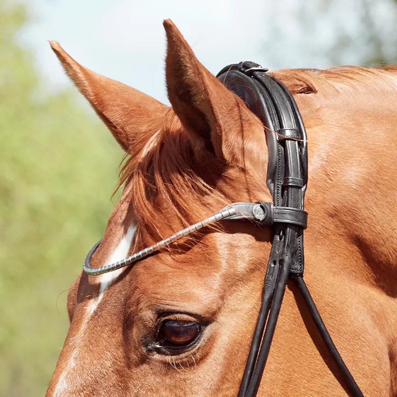 Finesse Himalaya Rolled Flash Bridle - Black/Silver-1