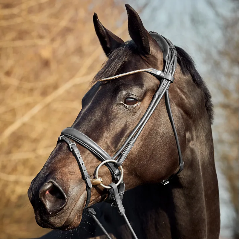 Finesse Himalaya Rolled Flash Bridle - Black/Silver