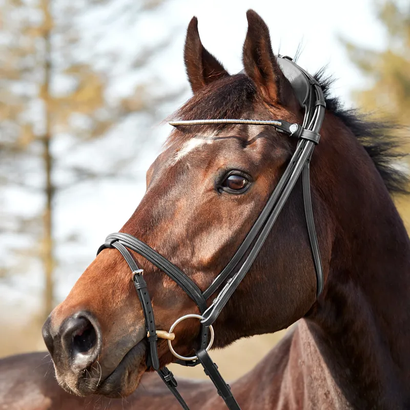 Finesse Zorro Flash Bridle - Black/Silver