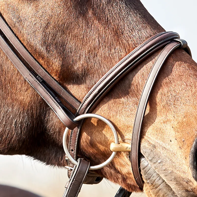 Finesse Zorro Flash Bridle - Brown/Gold-1