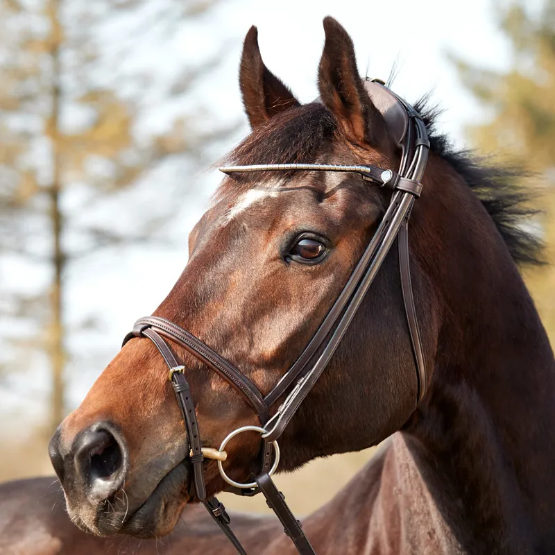 Finesse Zorro Flash Bridle - Brown/Gold