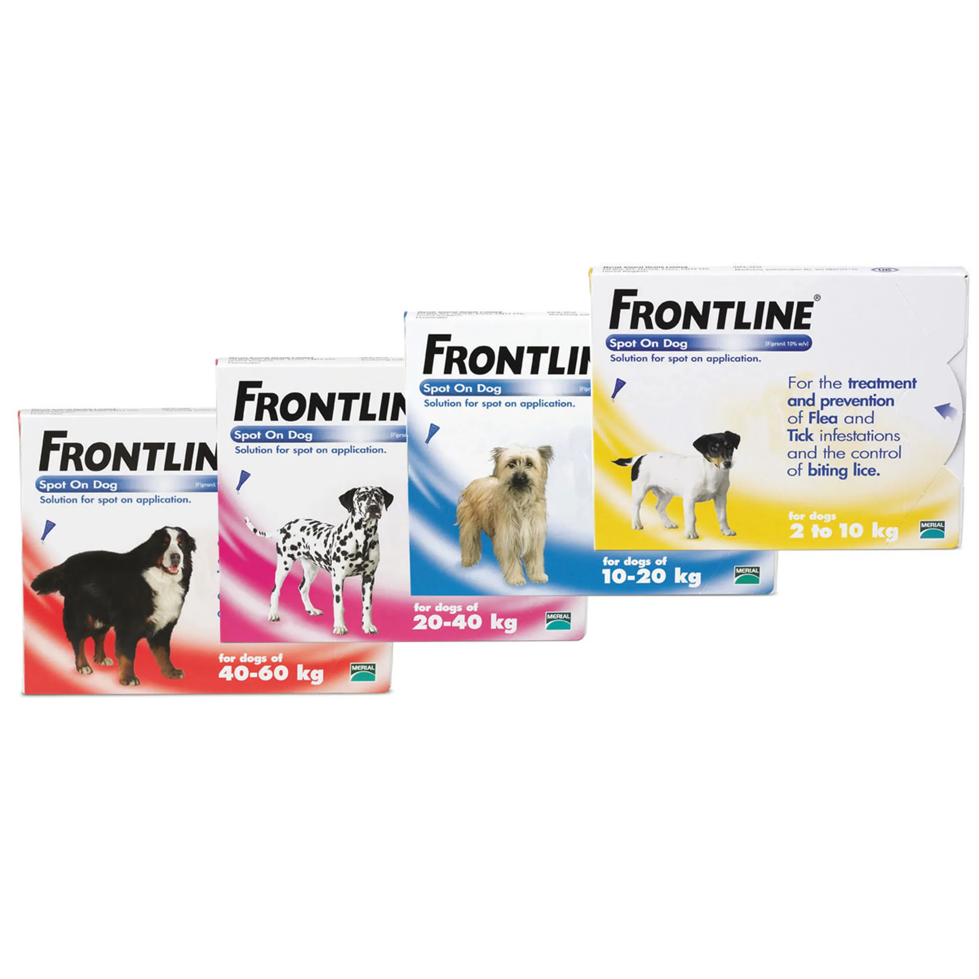 Frontlein Frontline Spot On Flea and Tick Treatment for Dogs