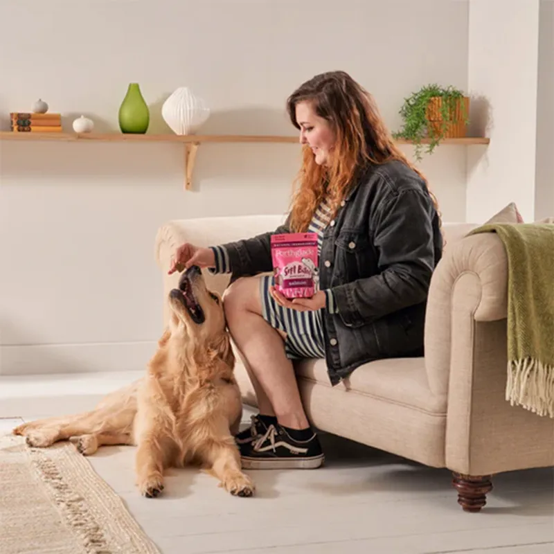 Forthglade Natural Soft Bite Dog Treats - Salmon-2