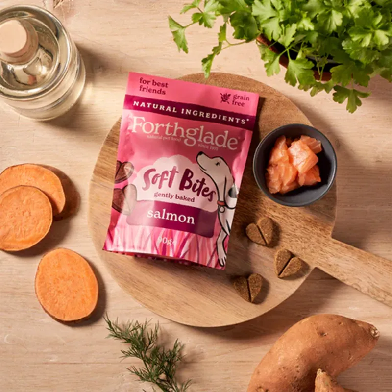 Forthglade Natural Soft Bite Dog Treats - Salmon-1