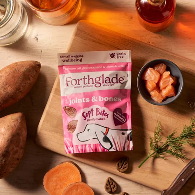 Forthglade Joints and Bones Natural Soft Bite Dog Treats - Salmon-1