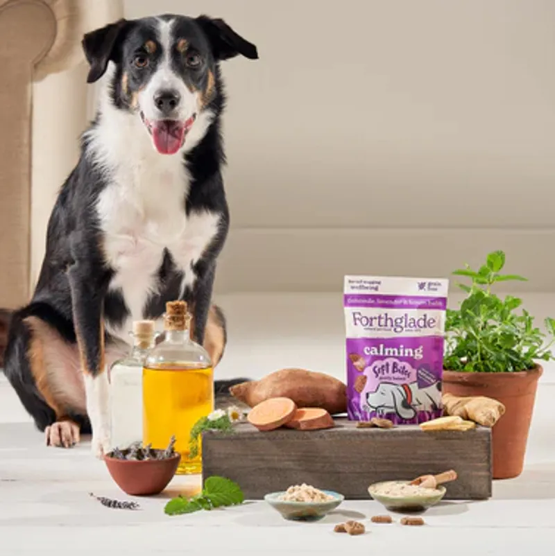 Forthglade Calming Natural Soft Bite Dog Treats - Turkey/Camomile-2