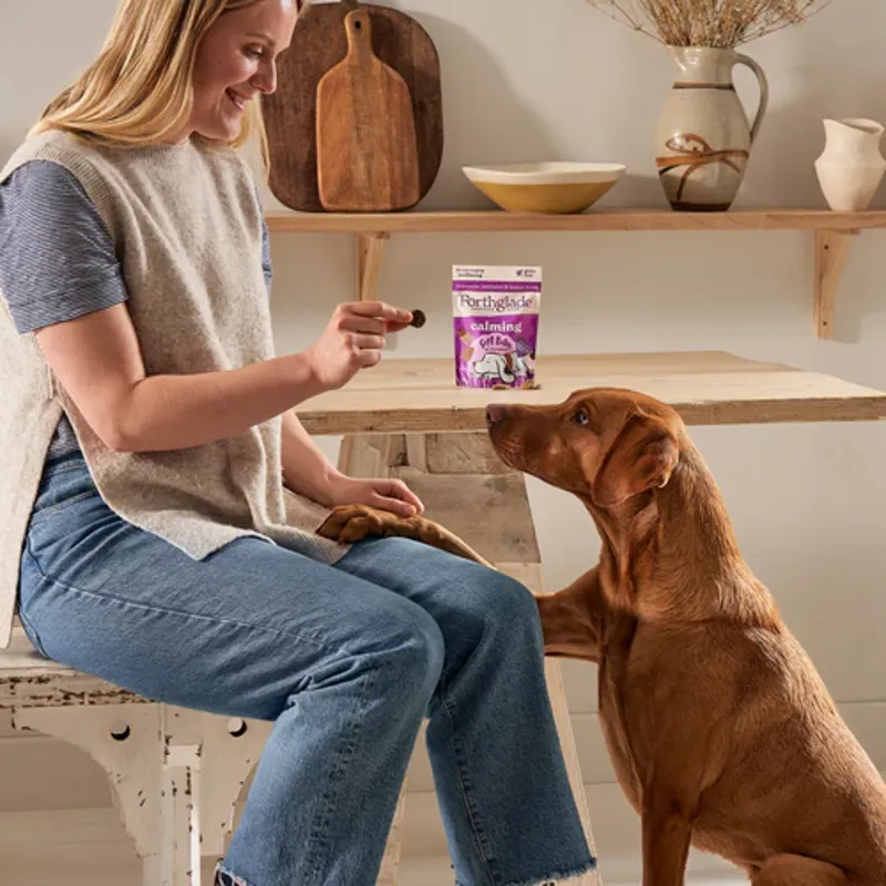 Forthglade Calming Natural Soft Bite Dog Treats - Turkey/Camomile-4