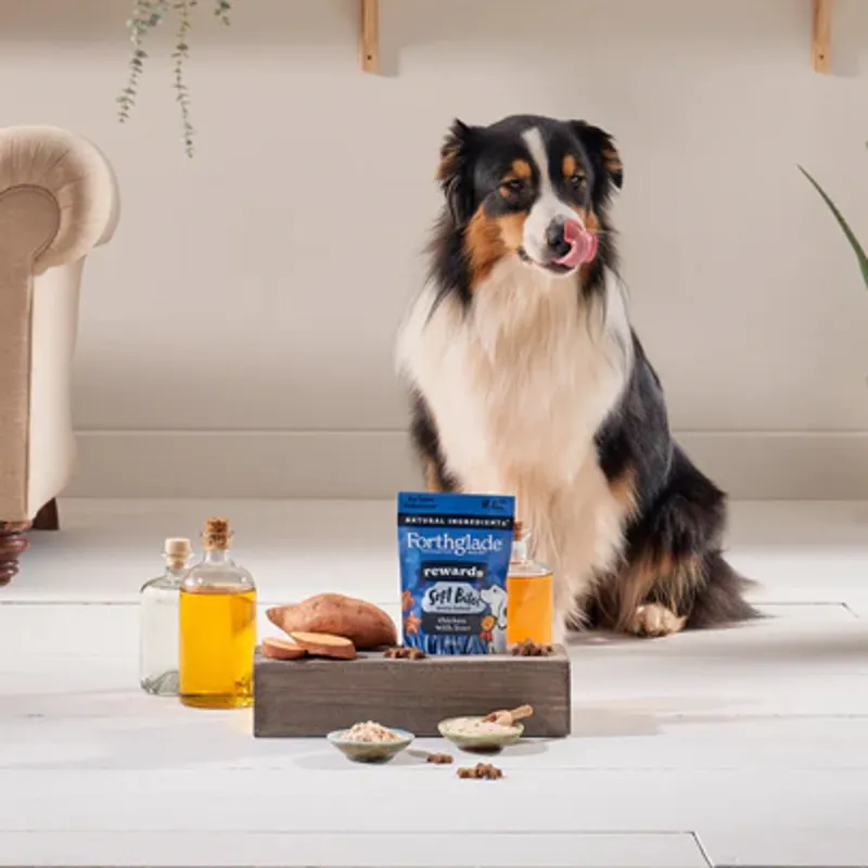 Forthglade Rewards Natural Soft Bite Dog Treats - Chicken with Liver-2