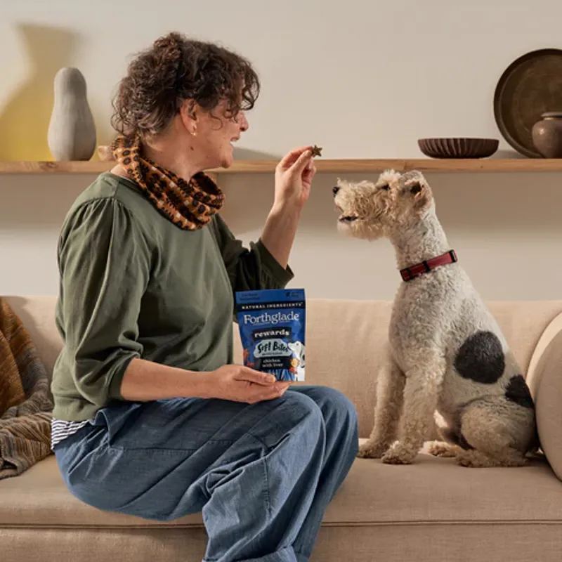 Forthglade Rewards Natural Soft Bite Dog Treats - Chicken with Liver-4