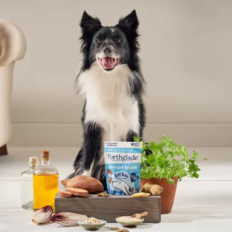 Forthglade Digestive Health Natural Soft Bite Dog Treats - Parsley-1