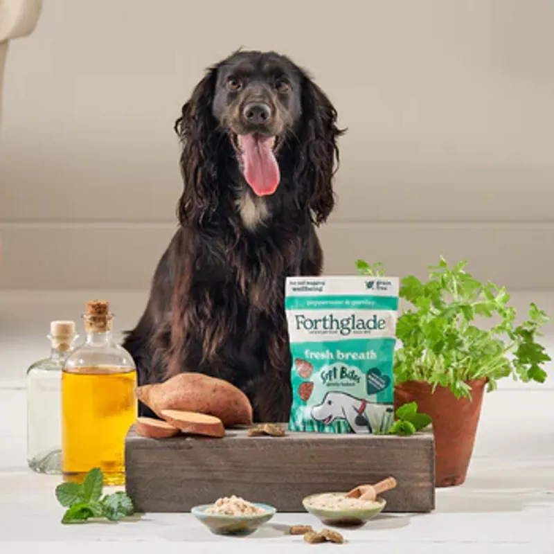 Forthglade Fresh Breath Natural Soft Bite Dog Treats - Peppermint-1