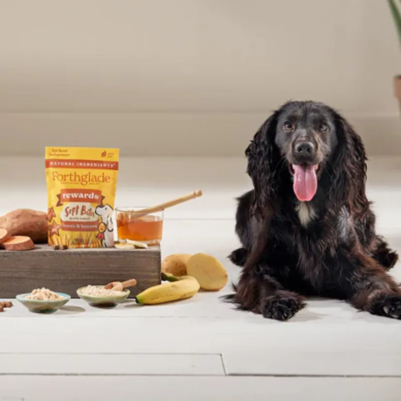 Forthglade Rewards Natural Soft Bite Dog Treats - Honey and Banana-1