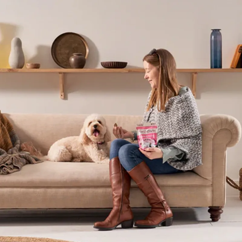 Forthglade Joints and Bones Natural Soft Bite Dog Treats - Salmon-3