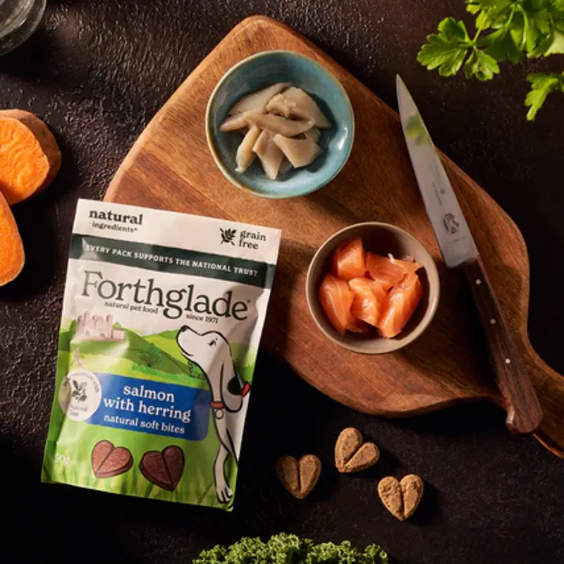 Forthglade National Trust Natural Soft Bite Dog Treats - Salmon-3