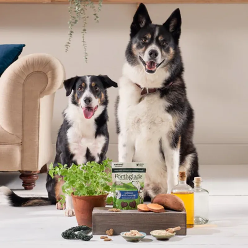 Forthglade National Trust Natural Soft Bite Dog Treats - Salmon-4