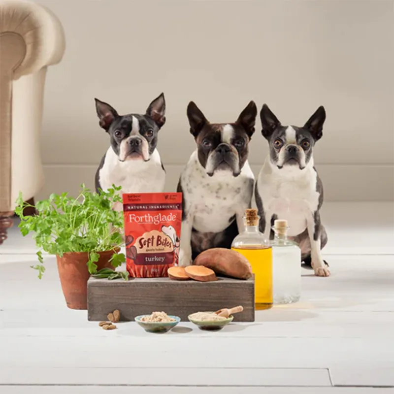Forthglade Natural Soft Bite Dog Treats - Turkey-3