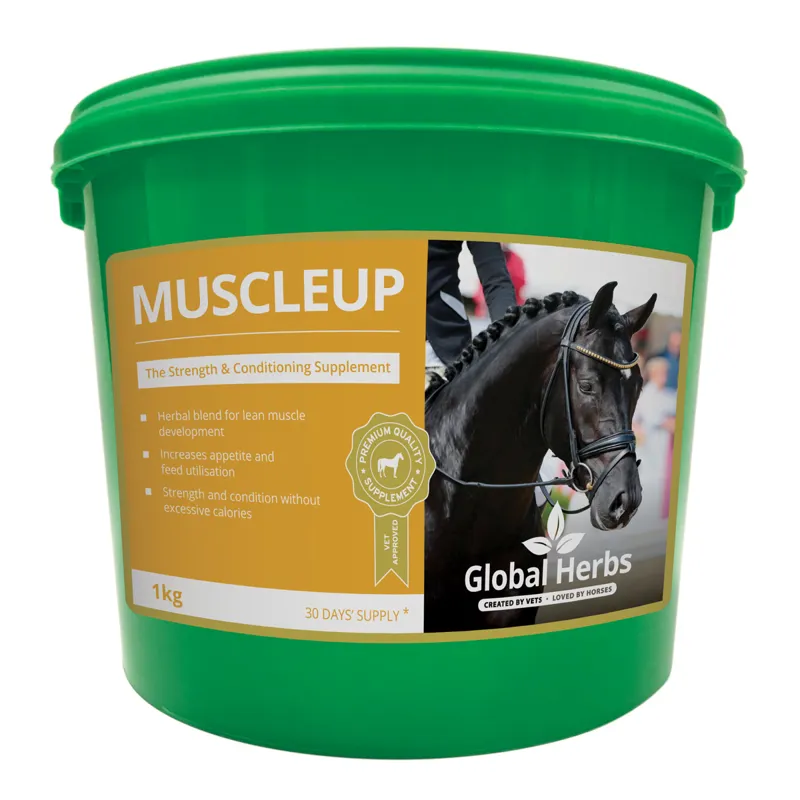Global Herbs Muscle Up Powder