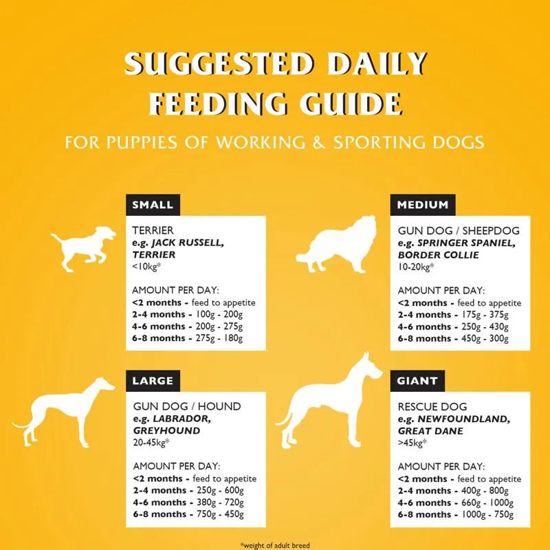 Gilbertson and Page Dr John Puppy Dry Dog Food - Chicken-1