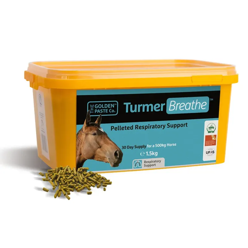 Golden Paste Co. TurmerBreathe-1